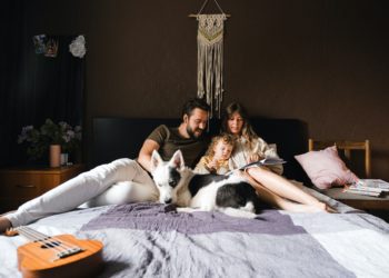 Importante observar cuidados de higiene ao se ter pet em casa e na sua cama